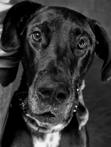 10389084 10154289288105478 9104308540708750171 n