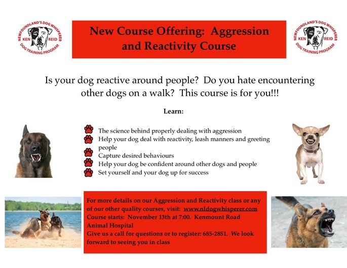 Aggression and Reactivity jpg