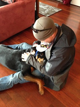 diesel