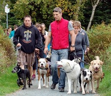 group walka