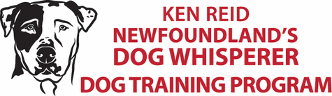 Logo300