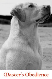 masters obedience